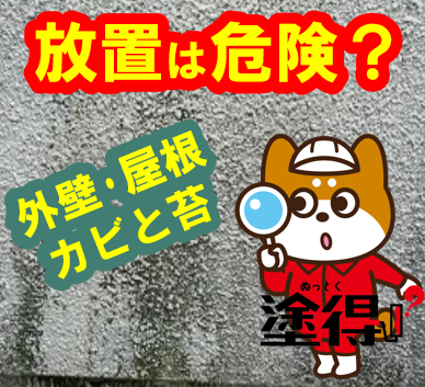 放置は危険？！外壁、屋根についたカビや苔