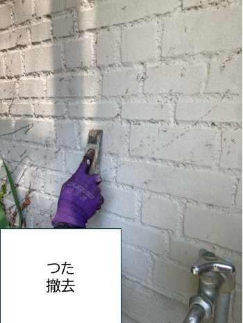 つたの痕も残さないように細かい手作業で処理していきます。