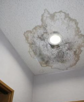 雨漏り修理について熊谷市の職人が説明します！